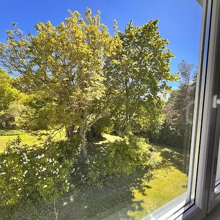 Forest View Апартаменты