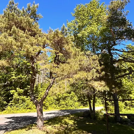 Апартаменты Forest View
